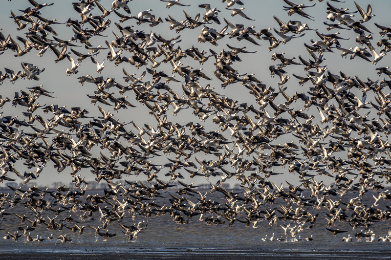 Thousands by Steve Tugwell